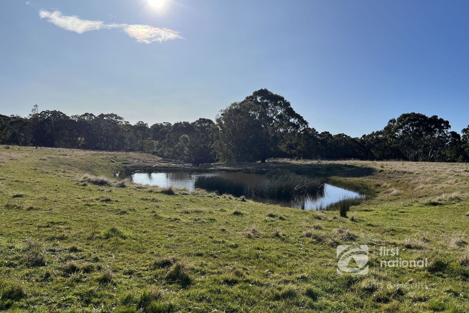 570 Barkhill Road, Forge Creek VIC 3875, Forge Creek - Thumbnail 4