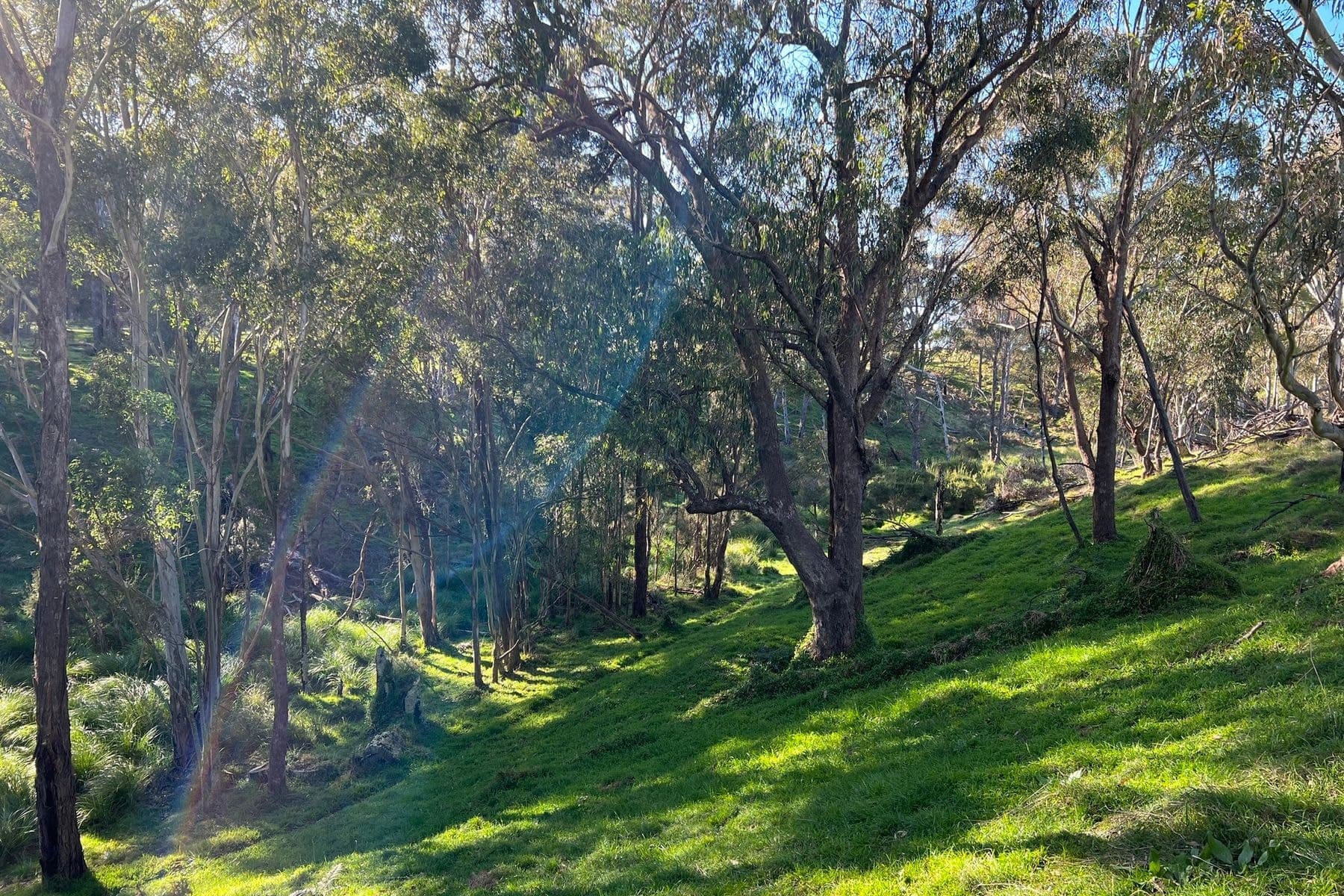 570 Barkhill Road, Forge Creek VIC 3875, Forge Creek - Thumbnail 6