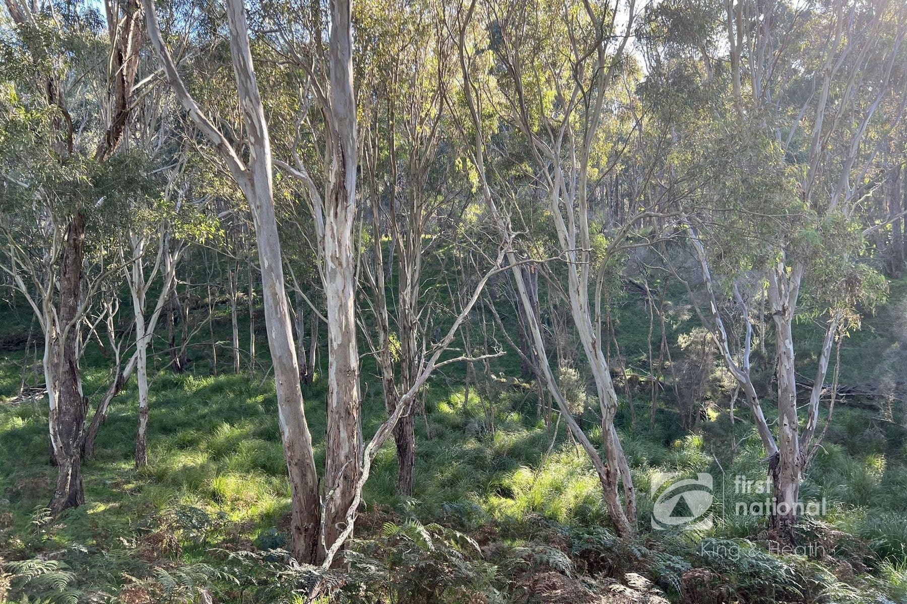 570 Barkhill Road, Forge Creek VIC 3875, Forge Creek - Thumbnail 7