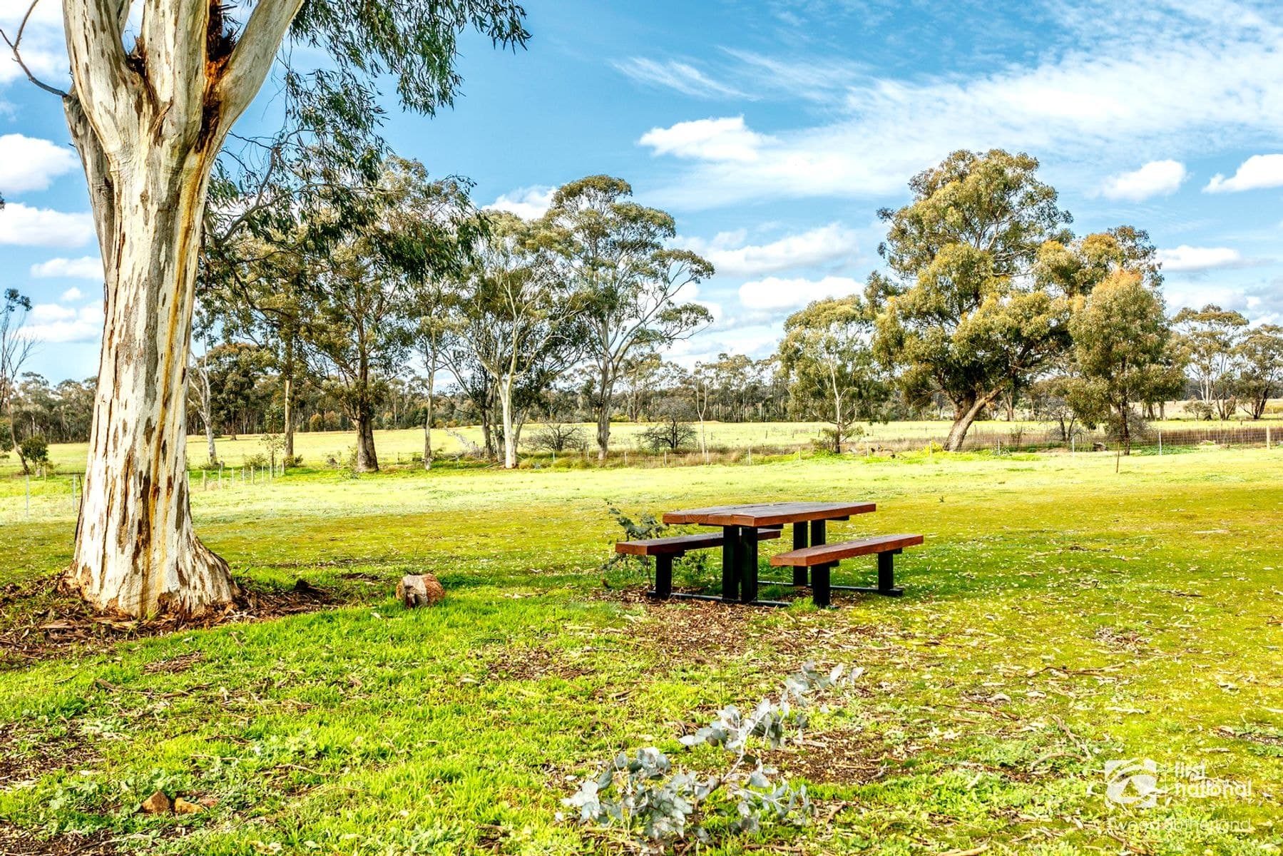 36 Racecourse Road, Ascot VIC 3551, Ascot - Thumbnail 3