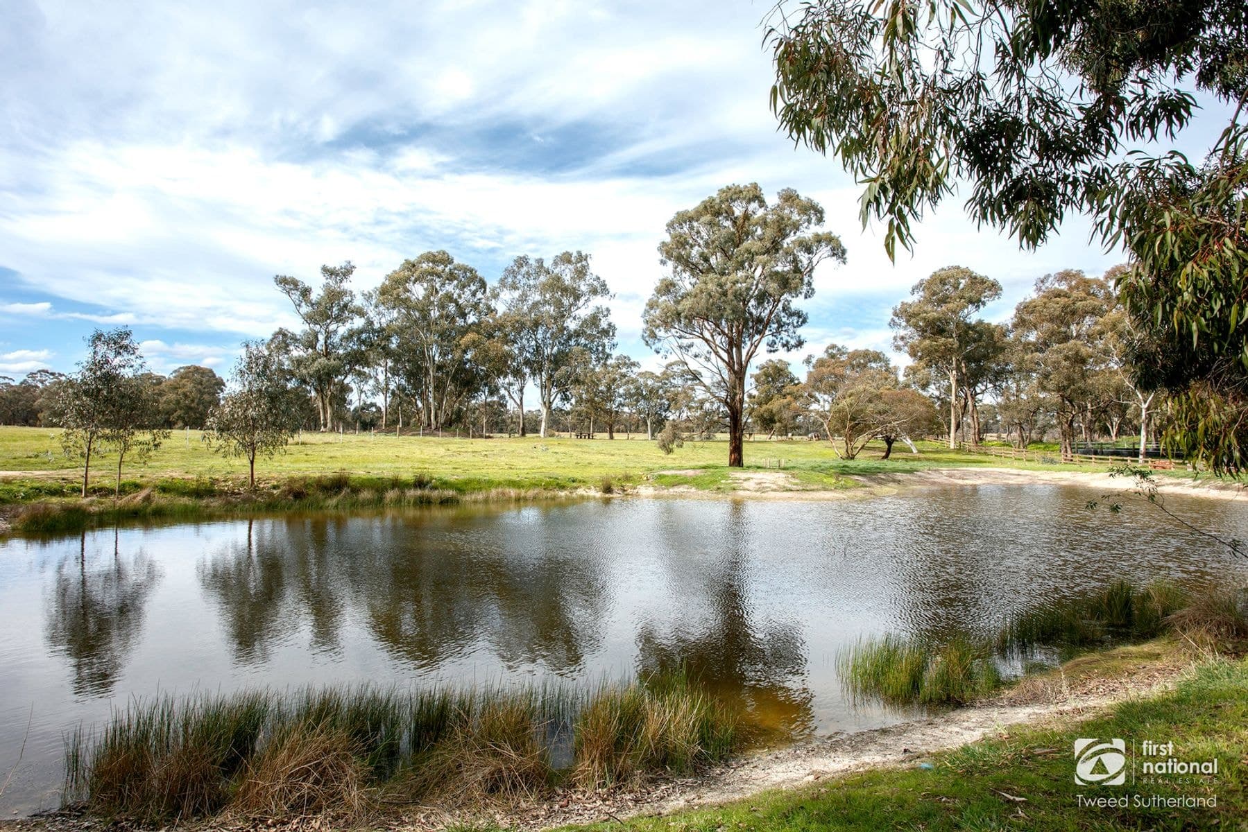36 Racecourse Road, Ascot VIC 3551, Ascot - Thumbnail 4