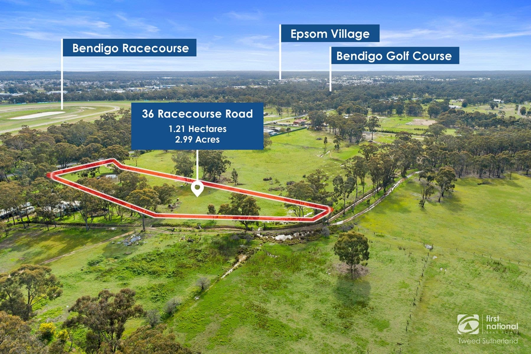 36 Racecourse Road, Ascot VIC 3551, Ascot - Thumbnail 6