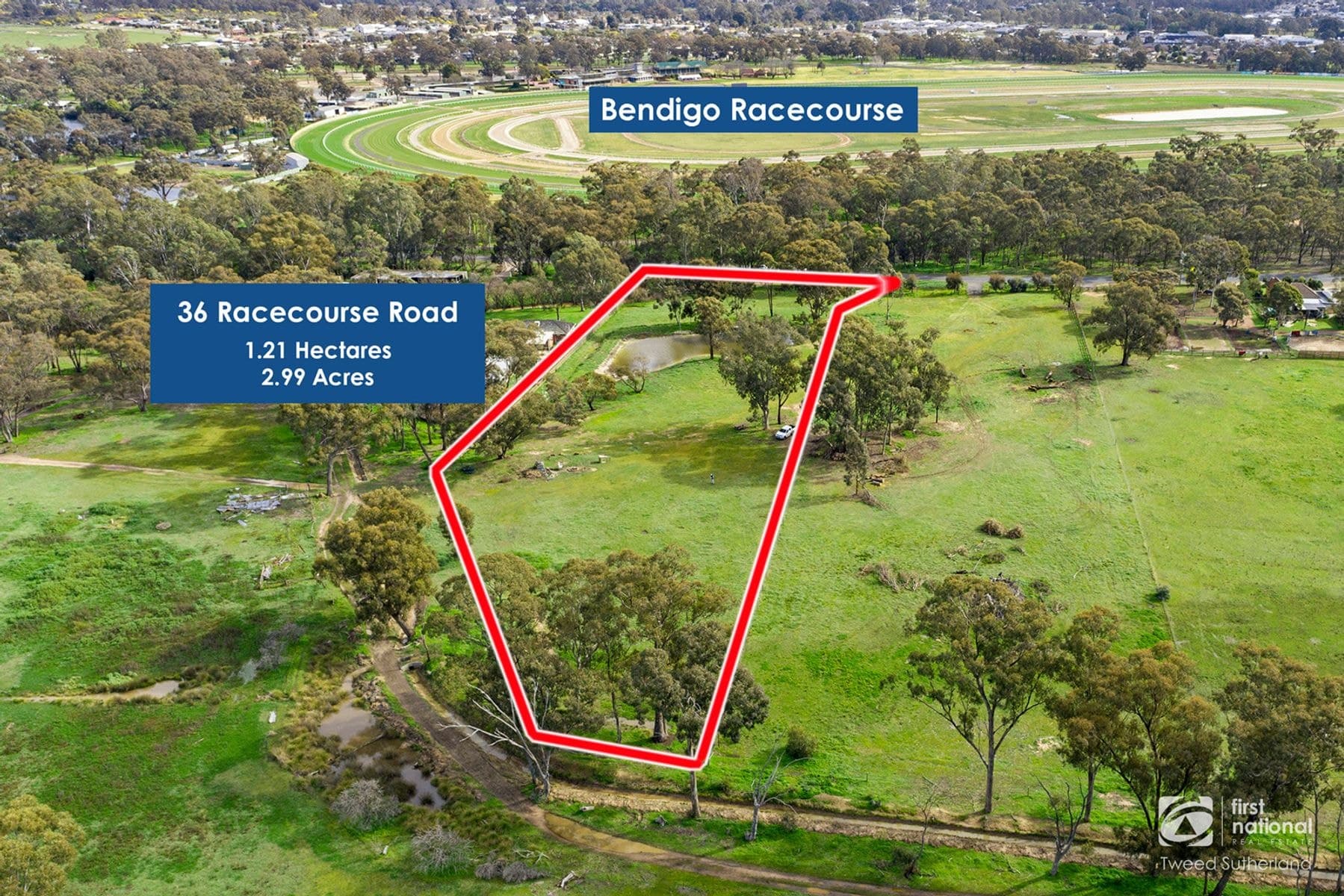 36 Racecourse Road, Ascot VIC 3551, Ascot - Thumbnail 7