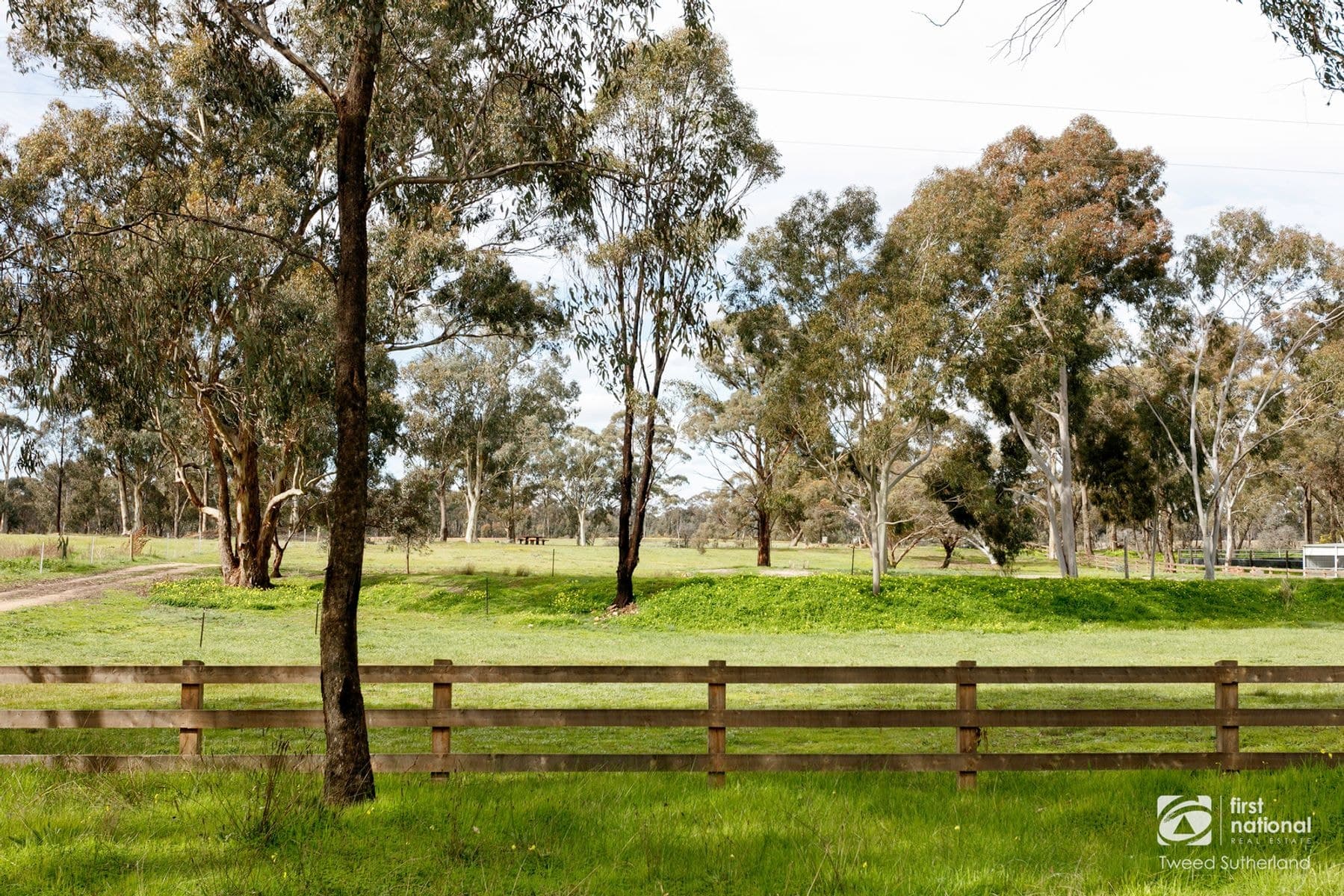 36 Racecourse Road, Ascot VIC 3551, Ascot - Thumbnail 8