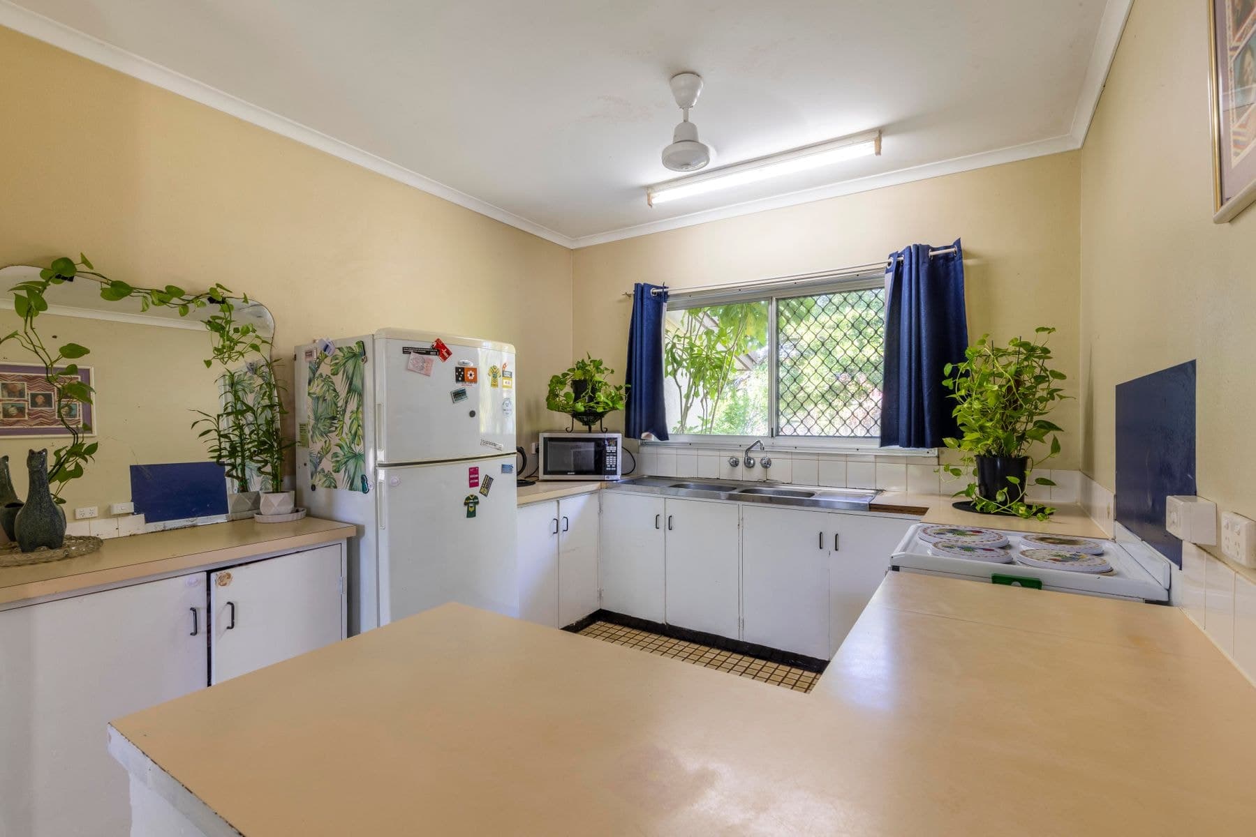 24 Pitman Court, Malak NT 0812, Malak - Thumbnail 2