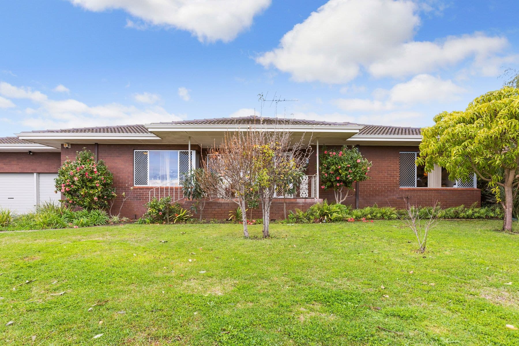 4 Gough Place, Booragoon WA 6154, Booragoon - Thumbnail 7