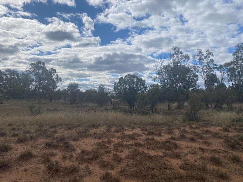 33 Wilson Street, Condamine QLD 4416, Condamine - Image 1