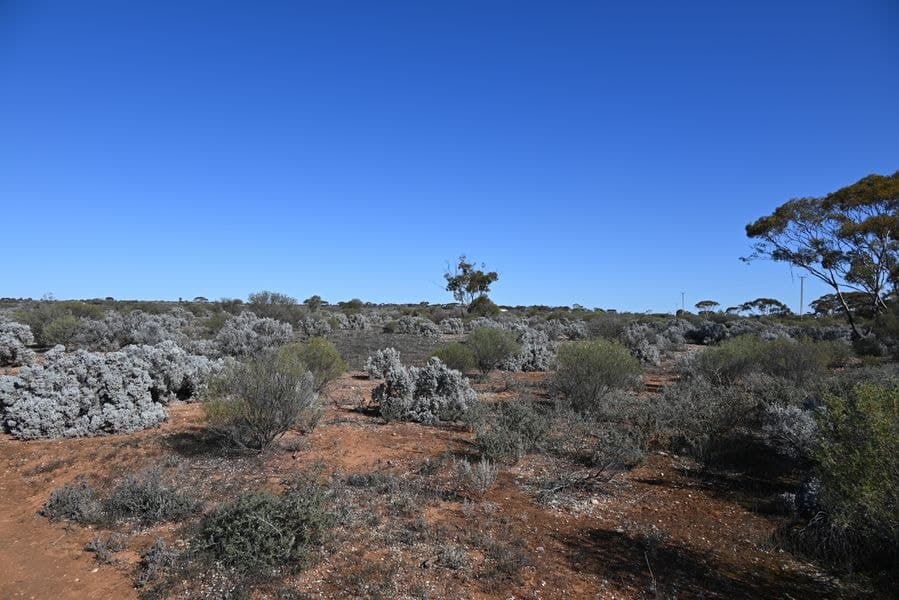 Section 346 Rail Road, Morgan SA 5320, Morgan - Image 1