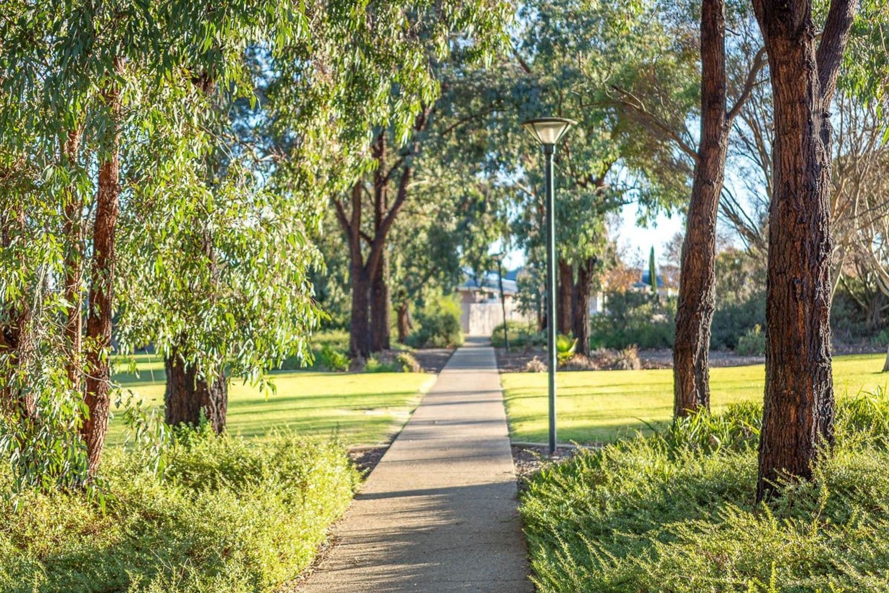 Lot 200 Melaleuca Way, Murray Bridge SA 5253, Murray Bridge - Thumbnail 4