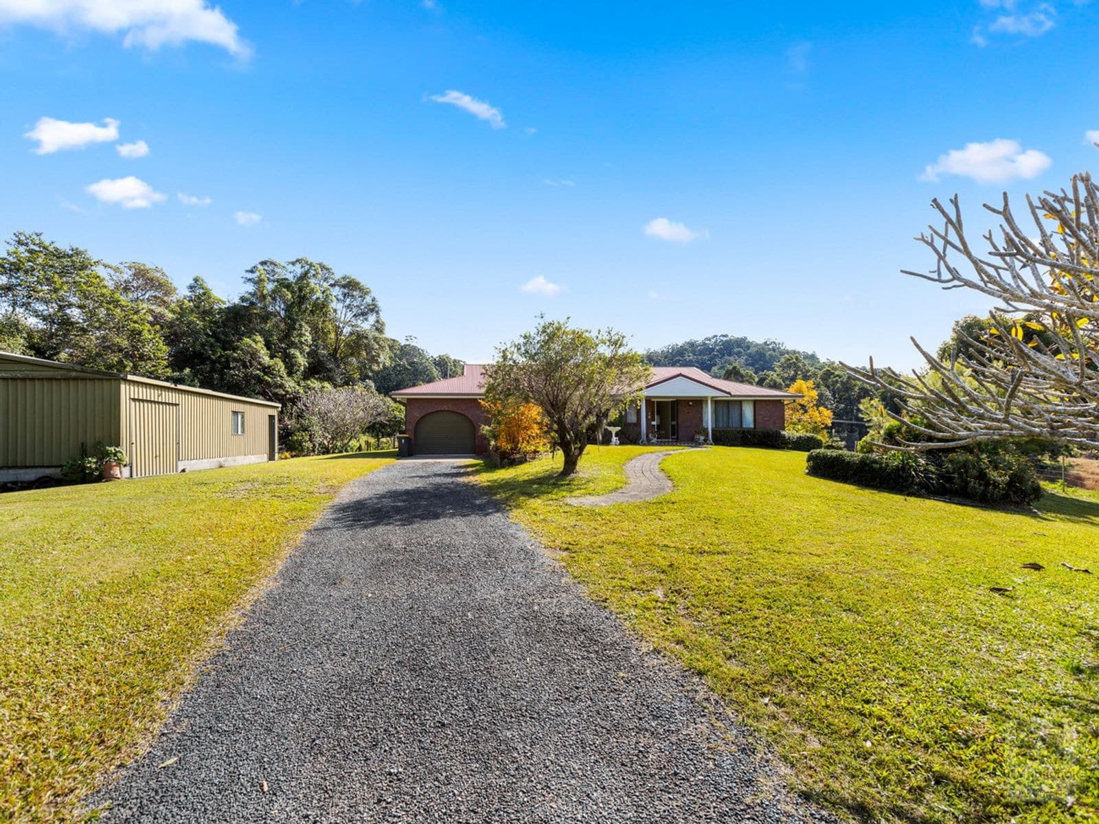 386 Numinbah Road, Nobbys Creek NSW 2484, Nobbys Creek - Thumbnail 2