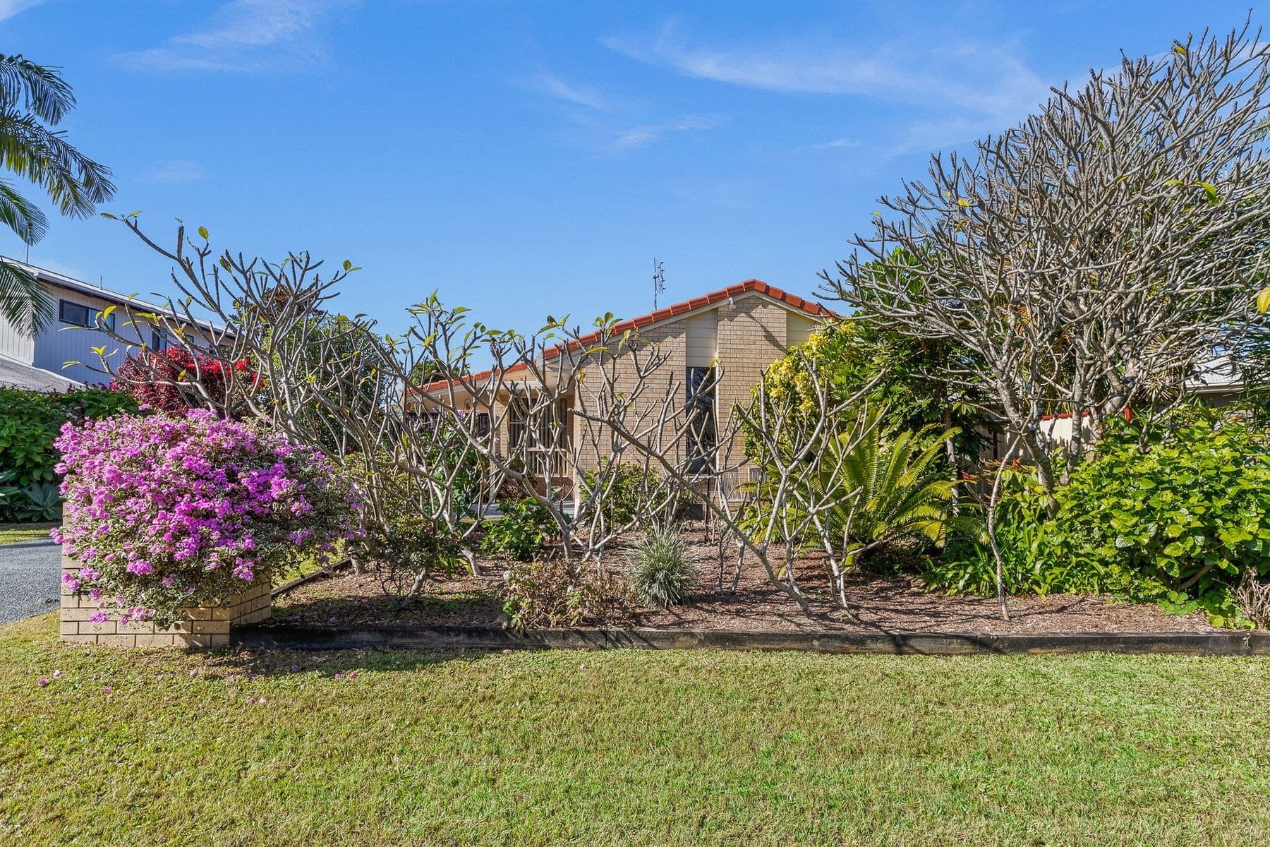 36 Natan Court, Ocean Shores NSW 2483, Ocean Shores - Thumbnail 7