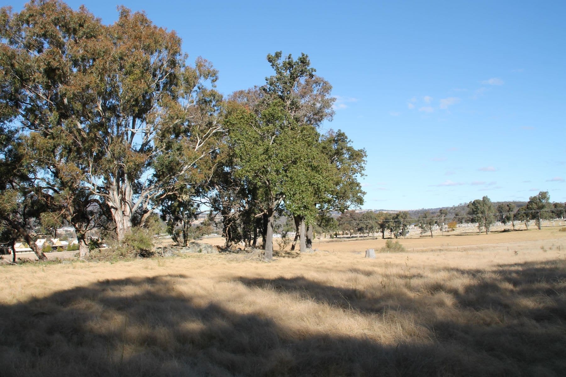 54A Neagles Lane, Tenterfield NSW 2372, Tenterfield - Thumbnail 2