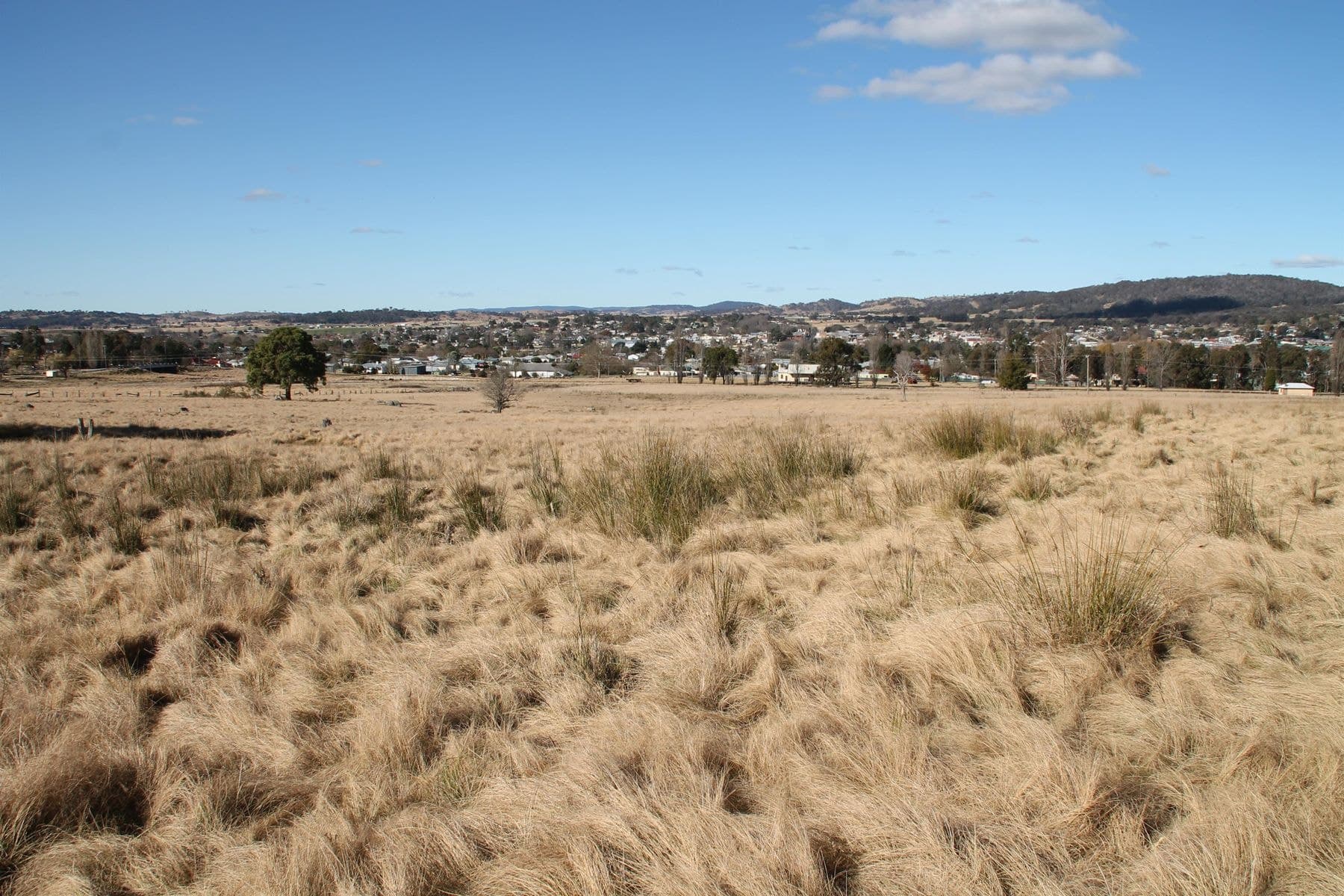54A Neagles Lane, Tenterfield NSW 2372, Tenterfield - Thumbnail 5