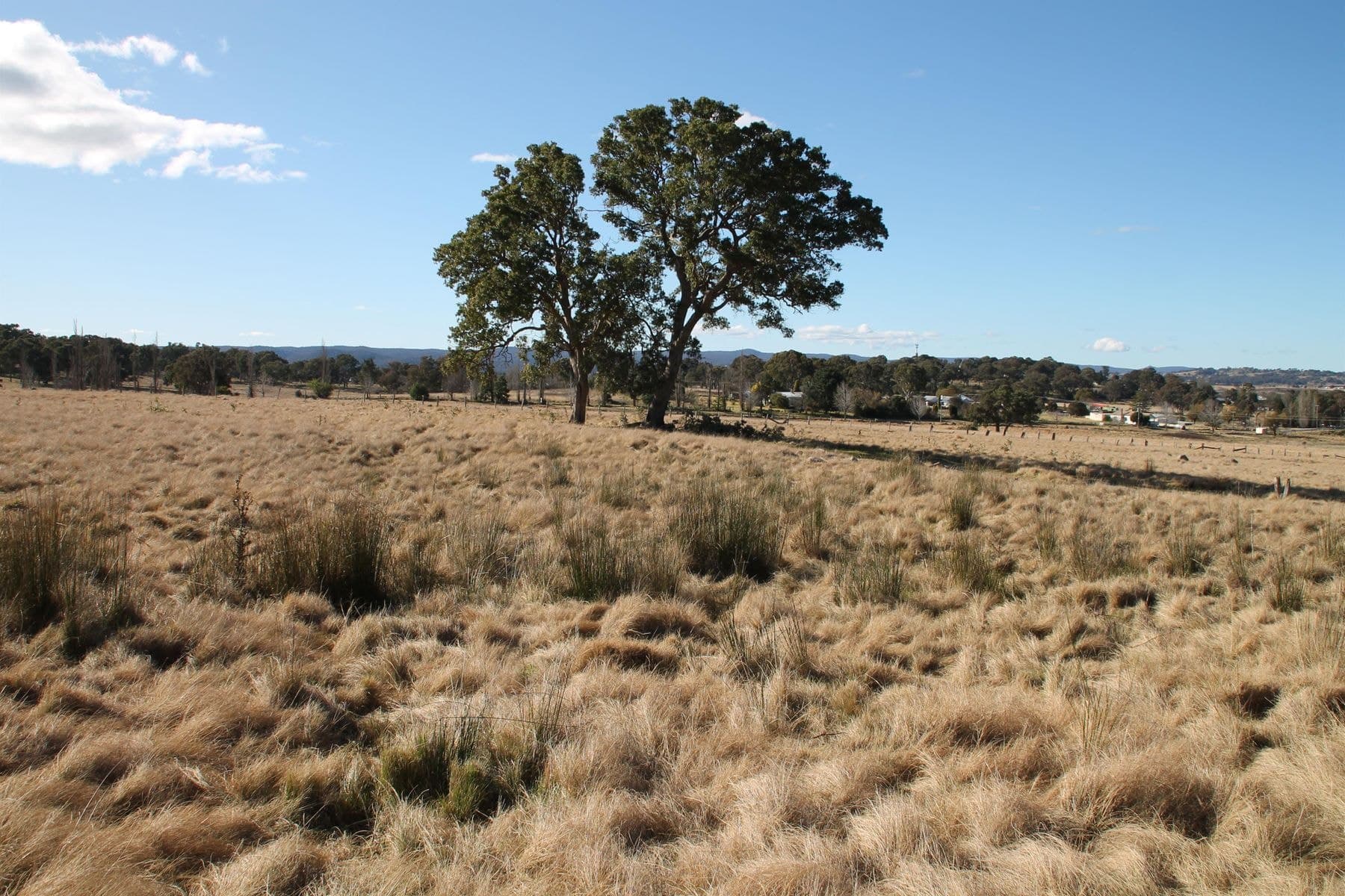 54A Neagles Lane, Tenterfield NSW 2372, Tenterfield - Thumbnail 6