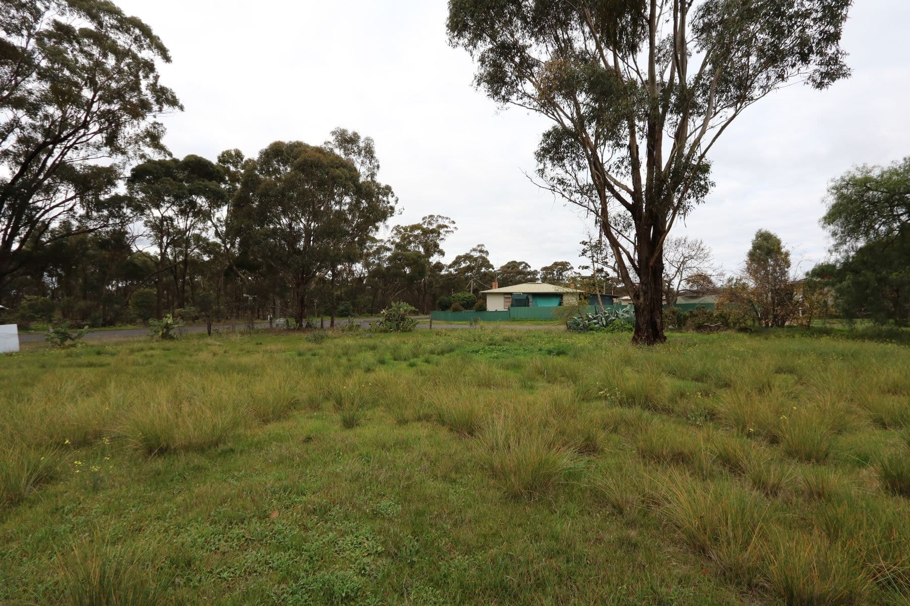 82 Golden Wattle Drive, Maryborough VIC 3465, Maryborough - Thumbnail 4