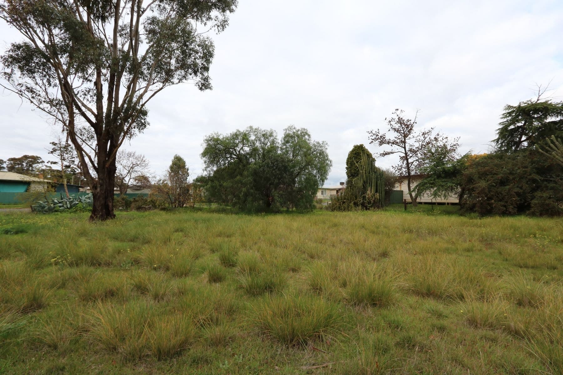 82 Golden Wattle Drive, Maryborough VIC 3465, Maryborough - Thumbnail 5