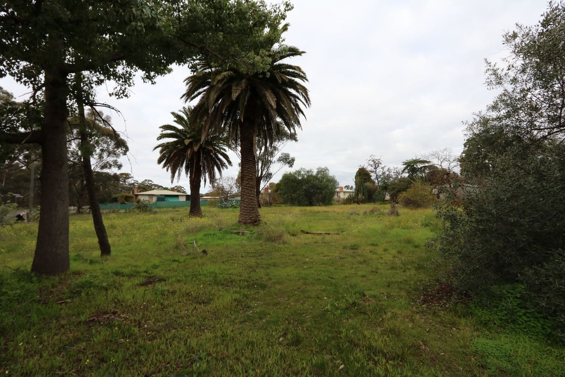 82 Golden Wattle Drive, Maryborough VIC 3465, Maryborough - Thumbnail 7