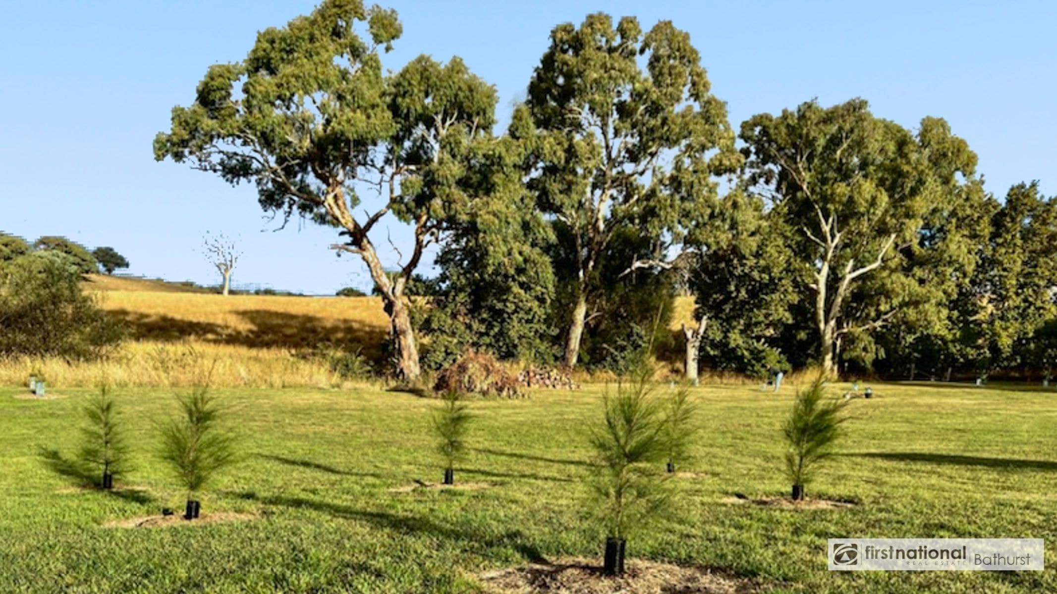 1 Bradley Street, Newbridge NSW 2795, Newbridge - Thumbnail 4
