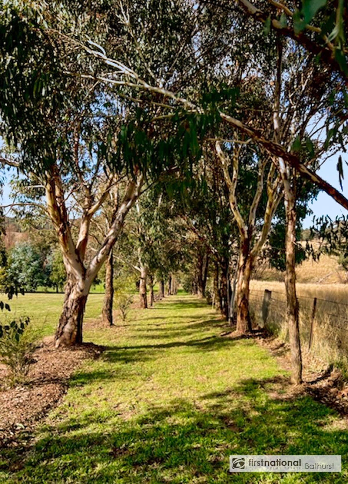 1 Bradley Street, Newbridge NSW 2795, Newbridge - Thumbnail 8