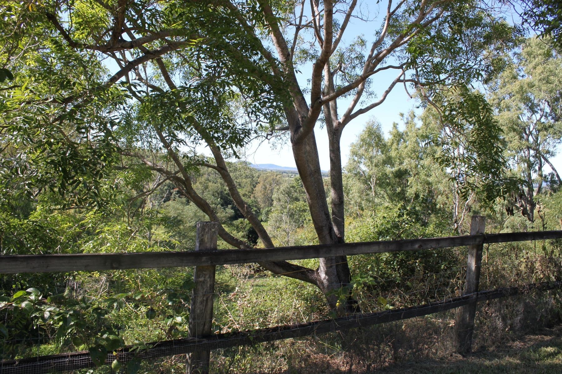 1775 Sarina Homebush Road, Oakenden QLD 4741, Oakenden - Image 1