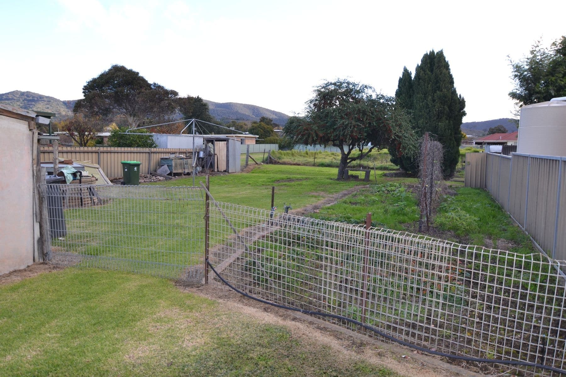 66 Cox Street, Mudgee NSW 2850, Mudgee - Thumbnail 3