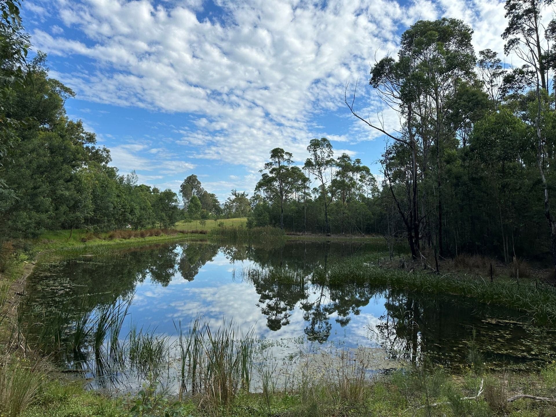 10419 Princes Highway Cobargo NSW, Cobargo - Thumbnail 2