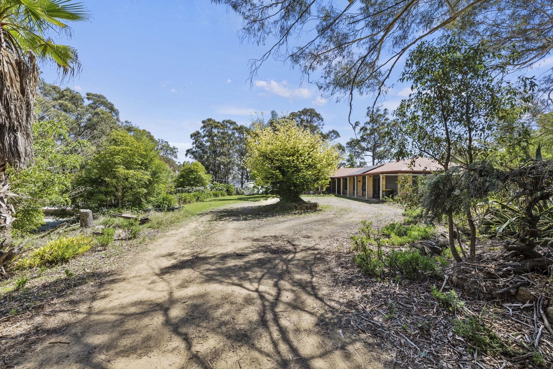 212 Black Range Road Black Range NSW, Black Range - Thumbnail 5