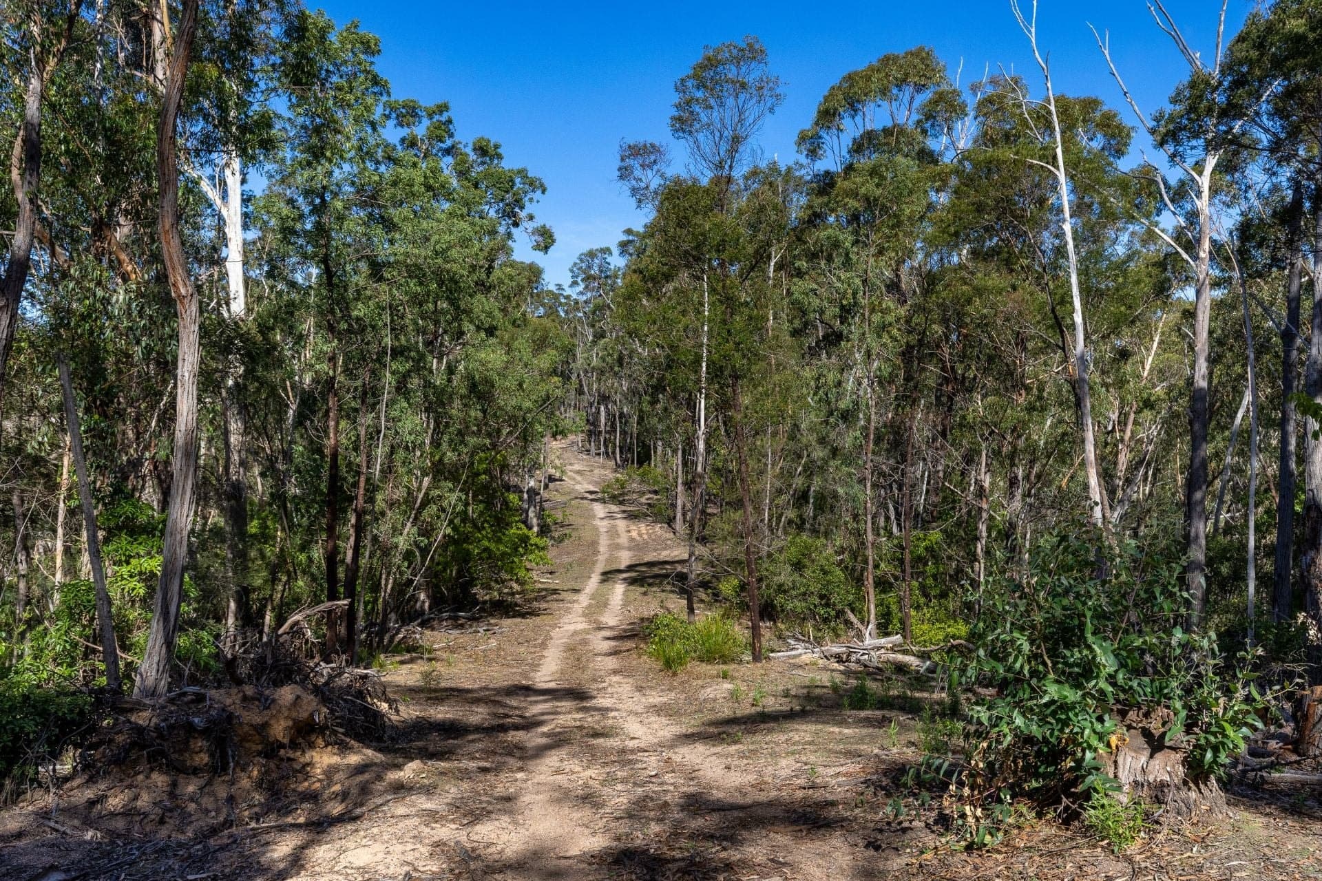464 Dorrigo Road Brogo NSW, Brogo - Thumbnail 2