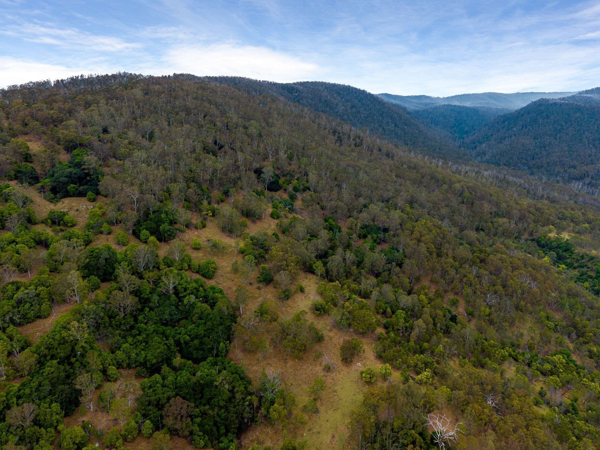 Candelo NSW, Candelo - Image 1
