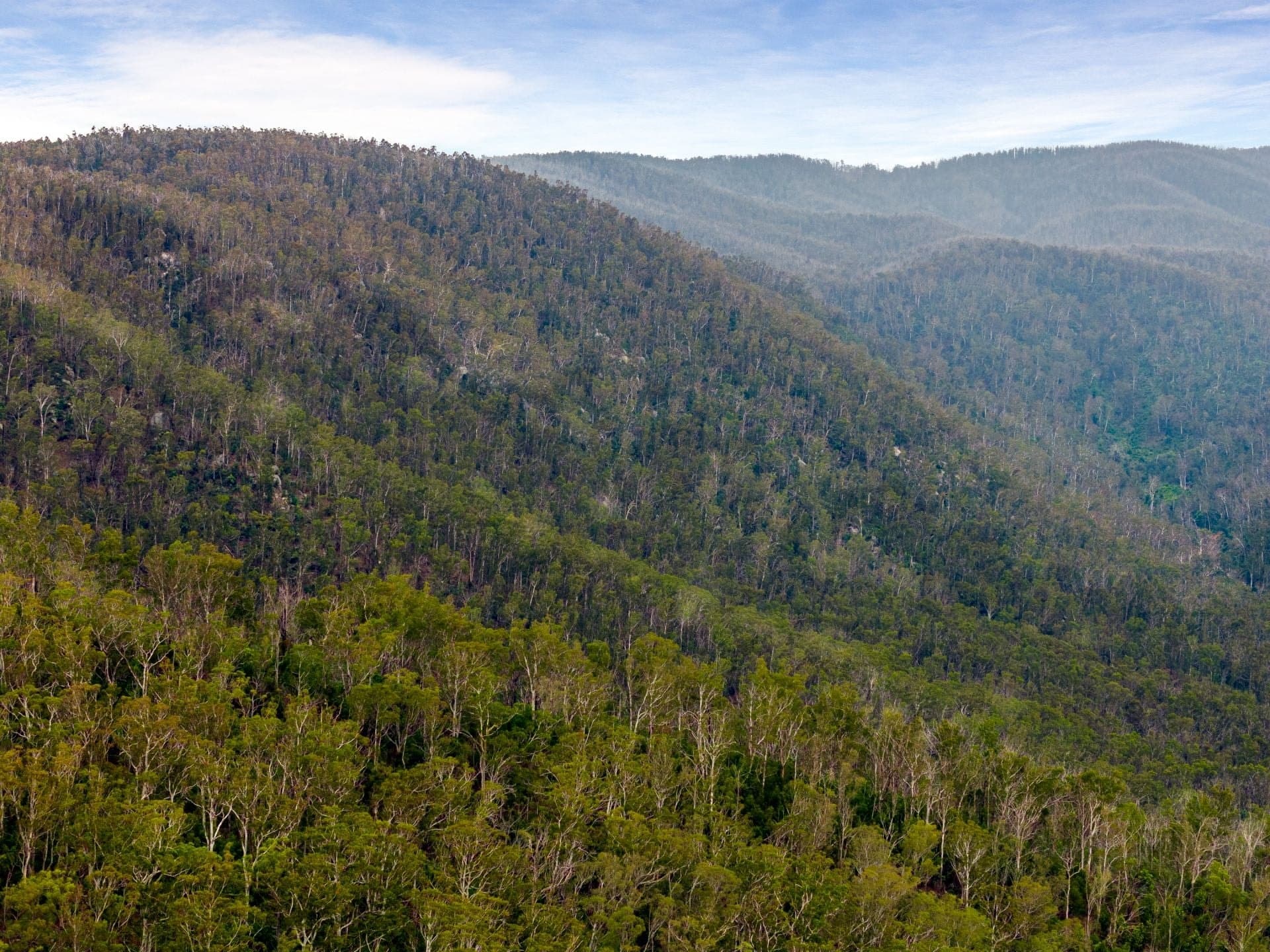 Candelo NSW, Candelo - Thumbnail 2