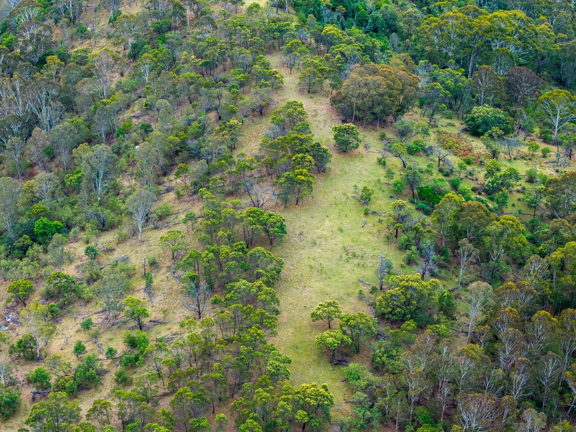 Candelo NSW, Candelo - Thumbnail 4
