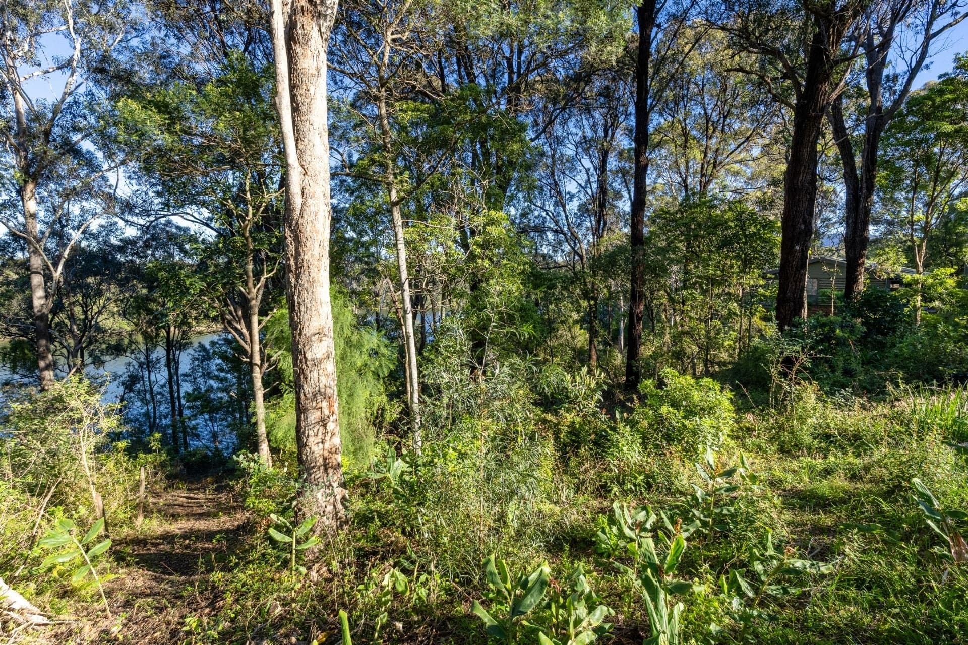 322 Bermagui Road Akolele NSW, Akolele - Thumbnail 2