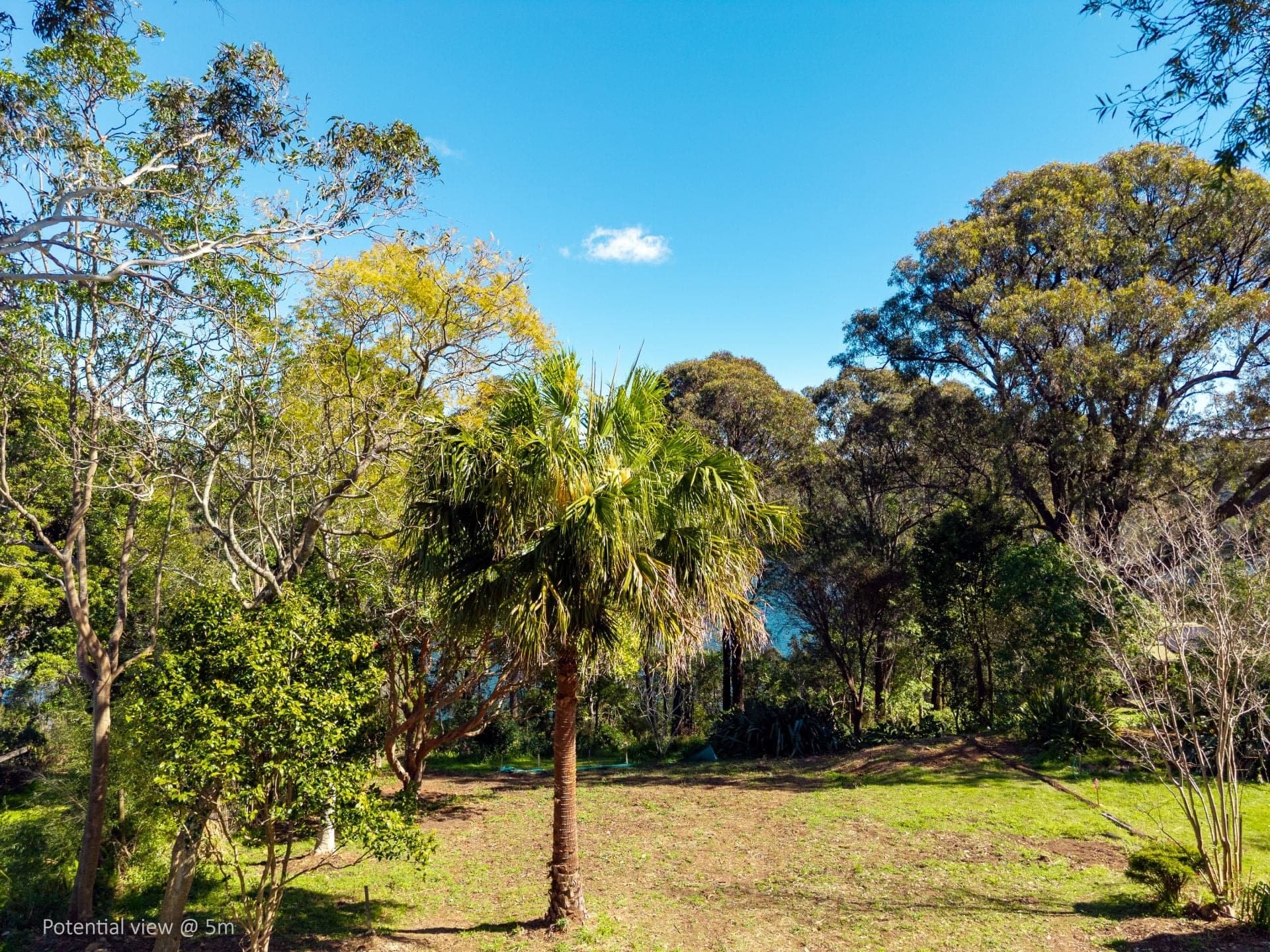 322 Bermagui Road Akolele NSW, Akolele - Thumbnail 3