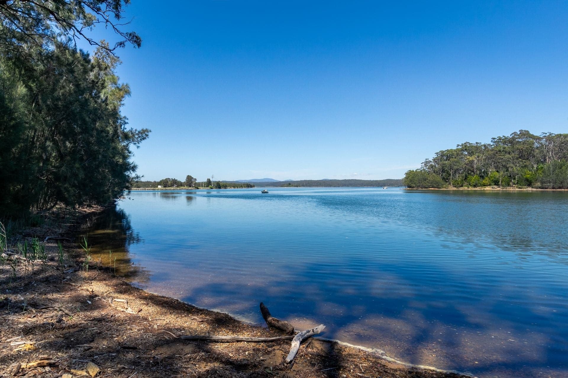 322 Bermagui Road Akolele NSW, Akolele - Thumbnail 7