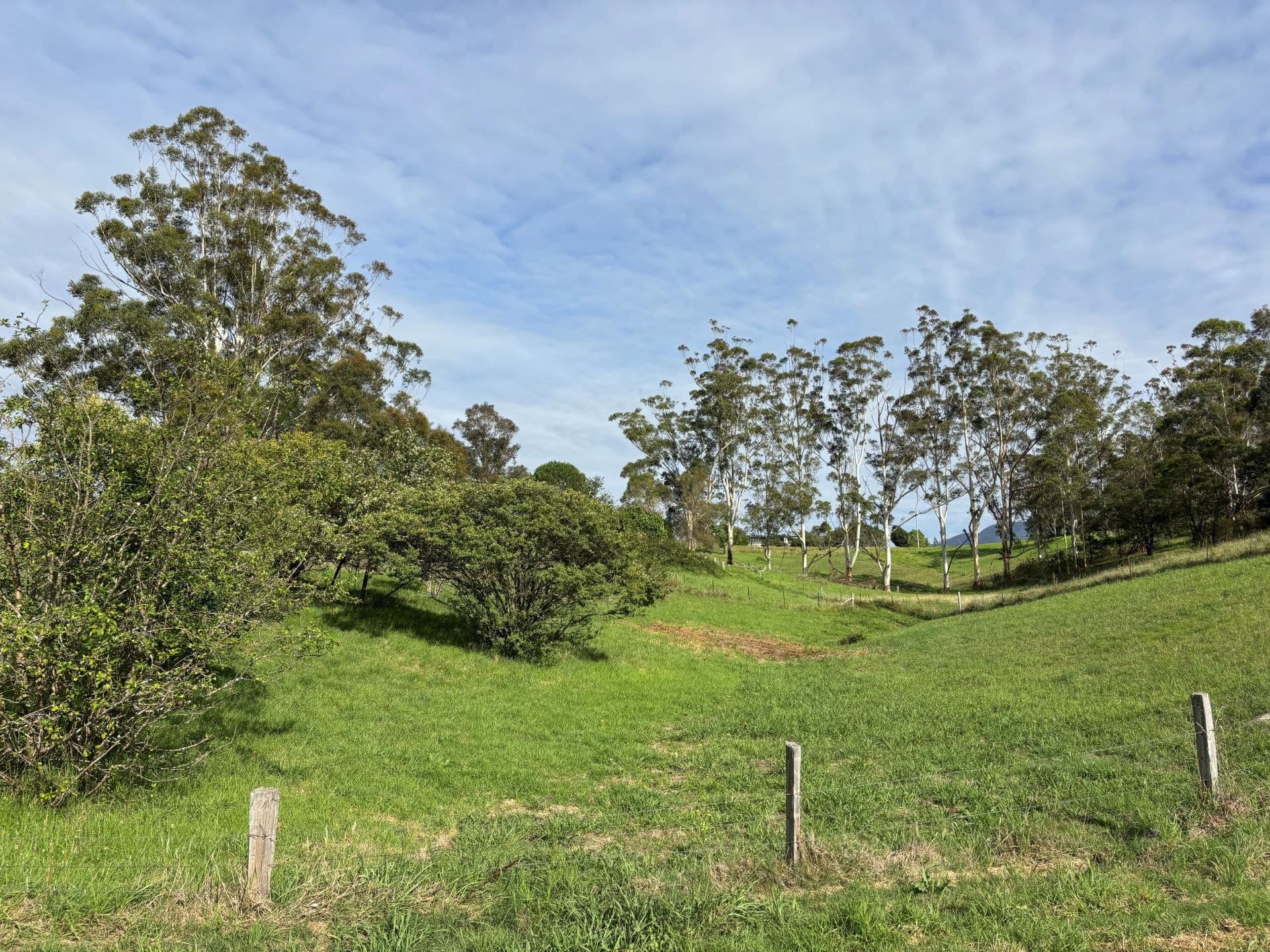 2/6B Garvan Street Bemboka NSW, Bemboka - Thumbnail 7
