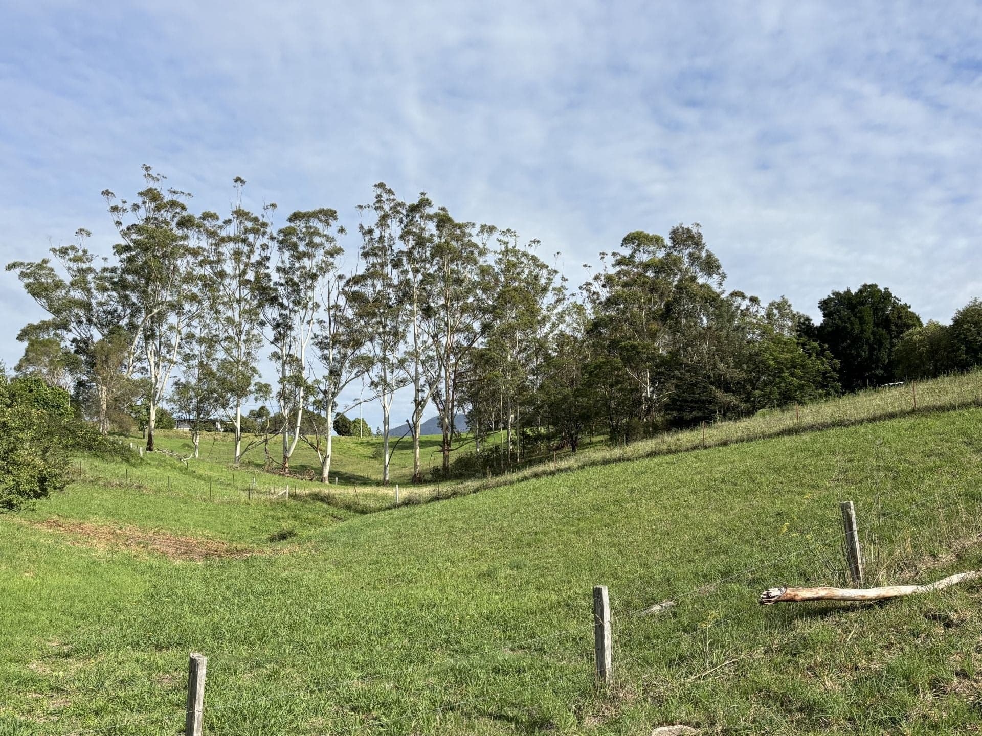 2/6B Garvan Street Bemboka NSW, Bemboka - Thumbnail 8