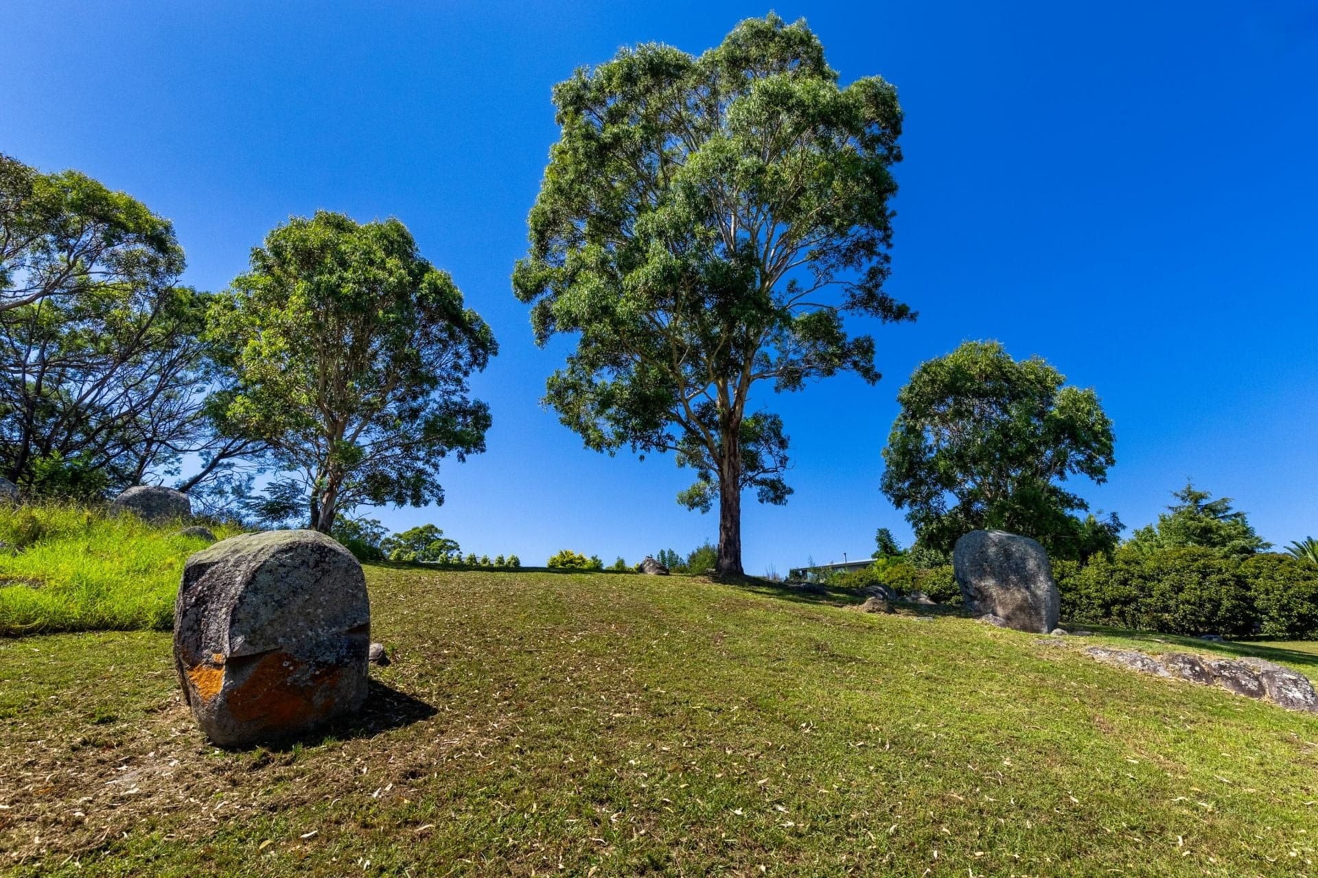 66 Glen Mia Drive Bega NSW, Bega - Thumbnail 5