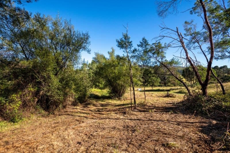 24 Oak Street Wyndham NSW, Wyndham - Thumbnail 7