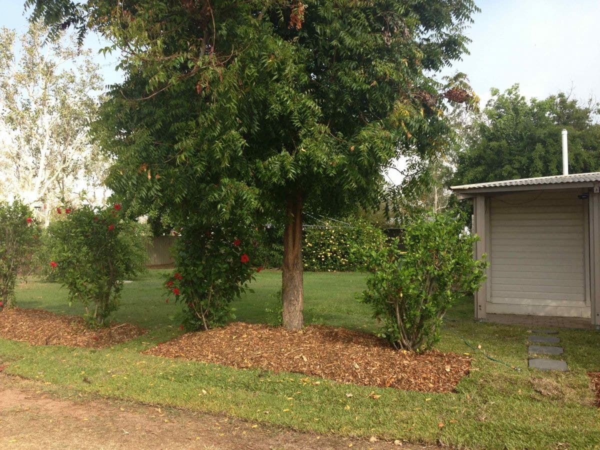 2 Vivian Voss Court Black River, QLD 4818, 5 Acre Property For Sale - Black River - Thumbnail 2