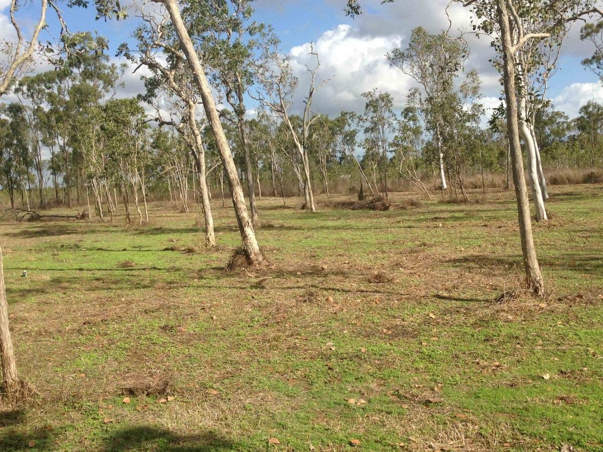 2 Vivian Voss Court Black River, QLD 4818, 5 Acre Property For Sale - Black River - Thumbnail 5