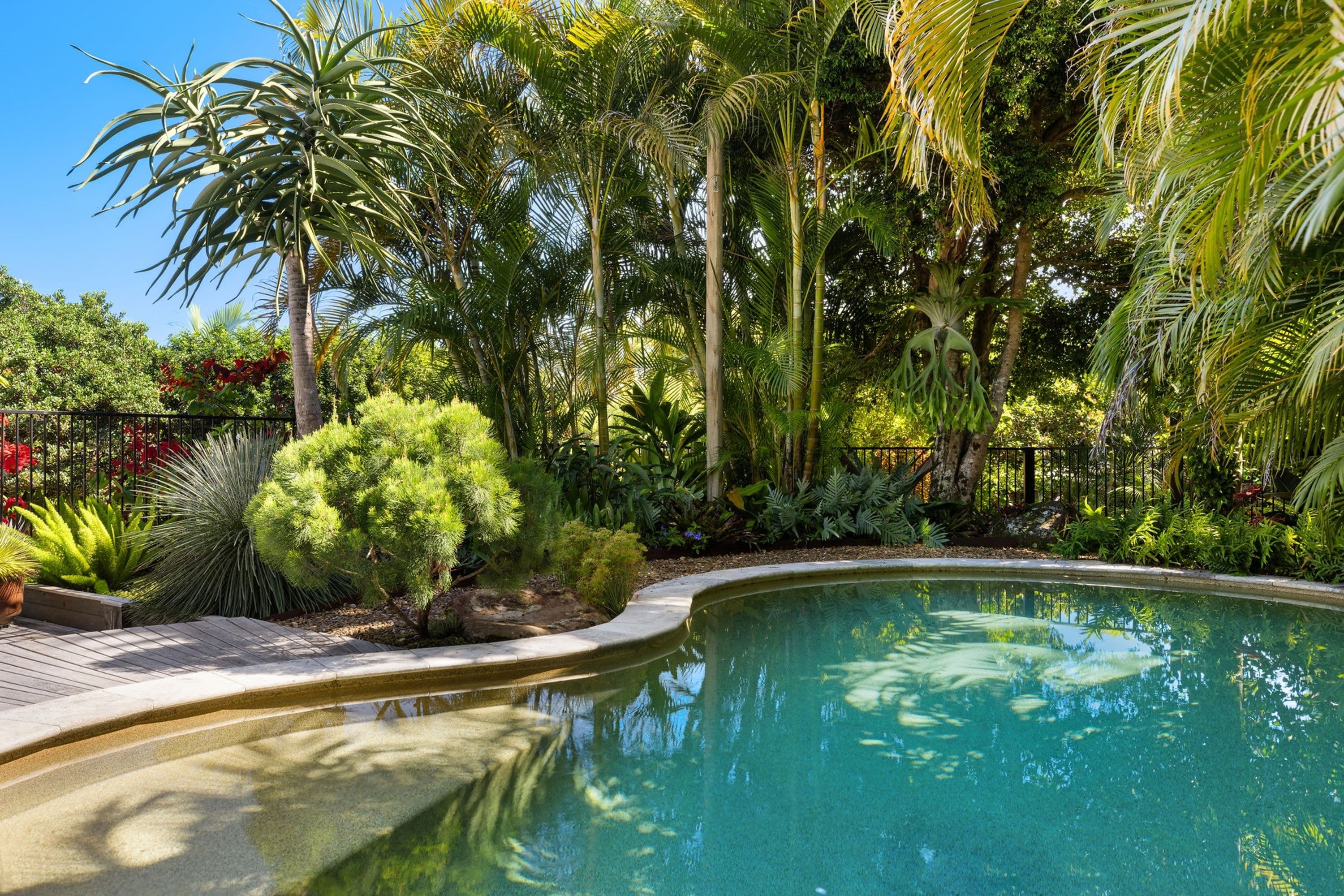 24 Moonlight Close, Mullumbimby - Thumbnail 2