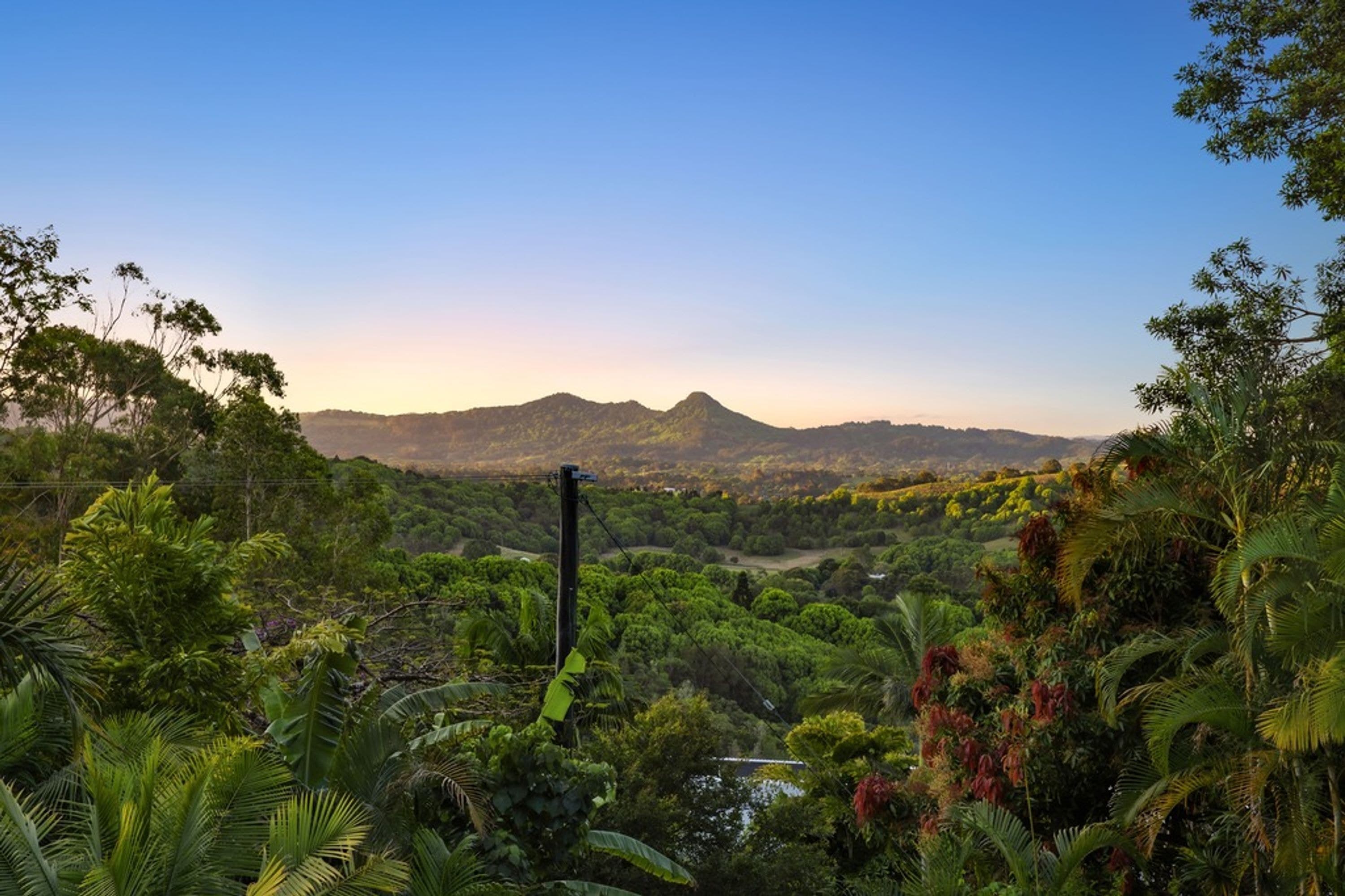 600 Coolamon Scenic Drive, Coorabell - Thumbnail 4