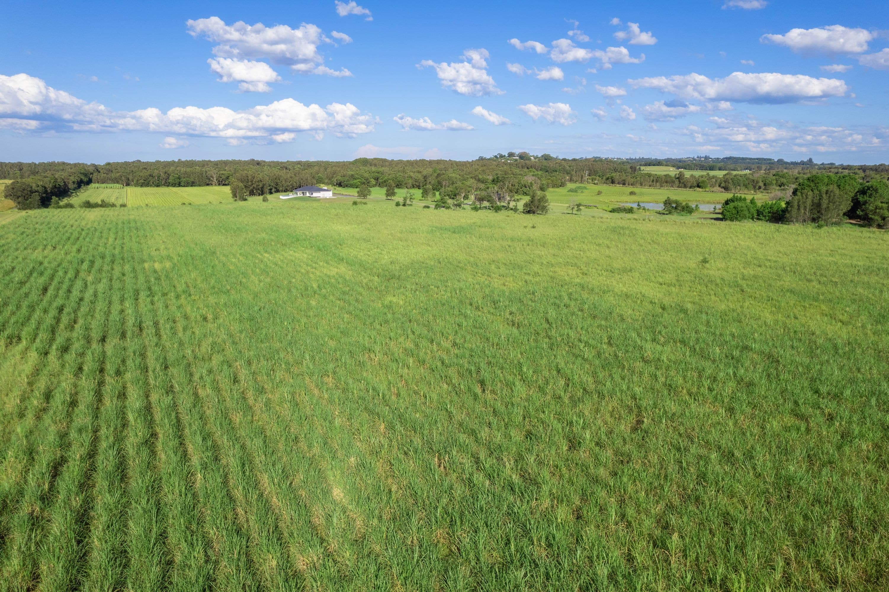 172 Newrybar Swamp Road, Lennox Head - Thumbnail 6