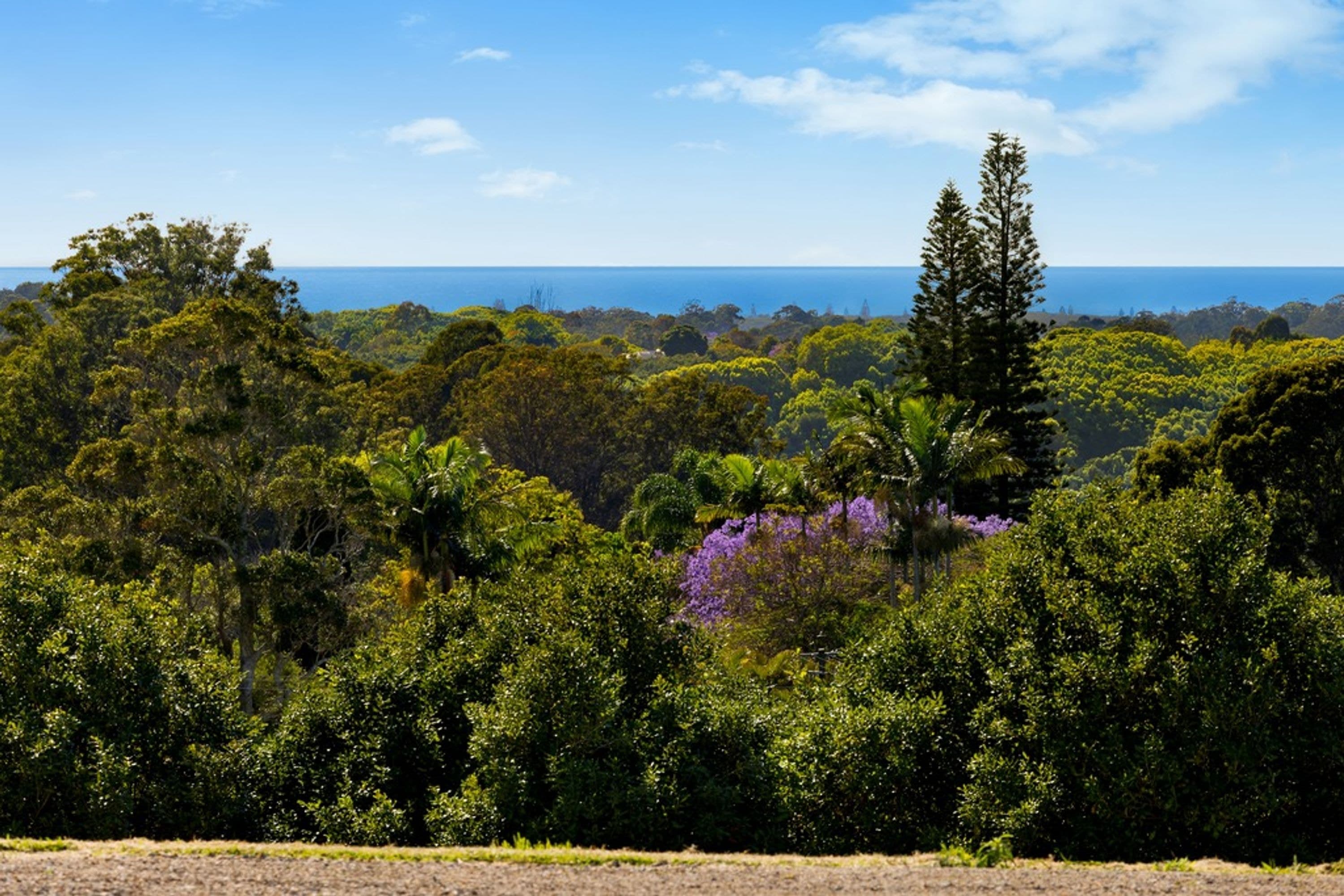 1 Majors Lane, Fernleigh - Image 1
