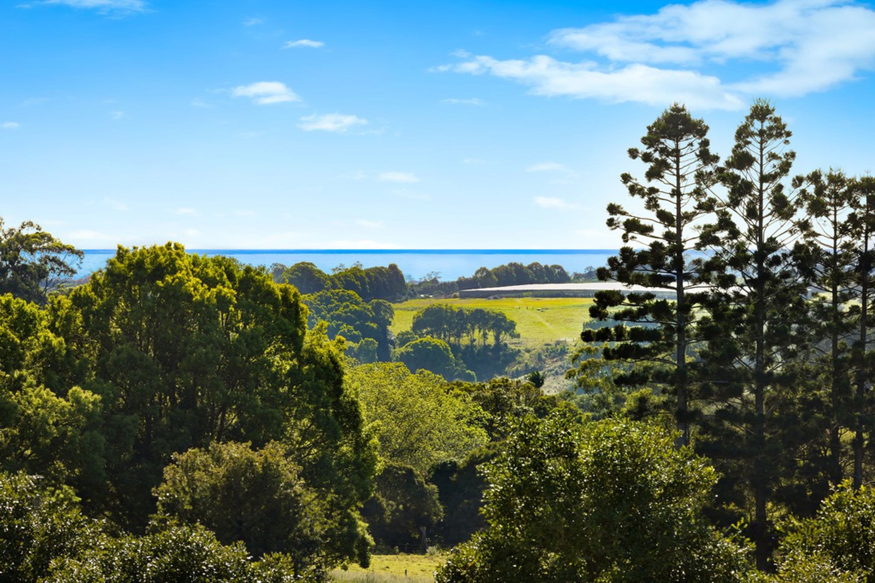 1 Majors Lane, Fernleigh - Thumbnail 2