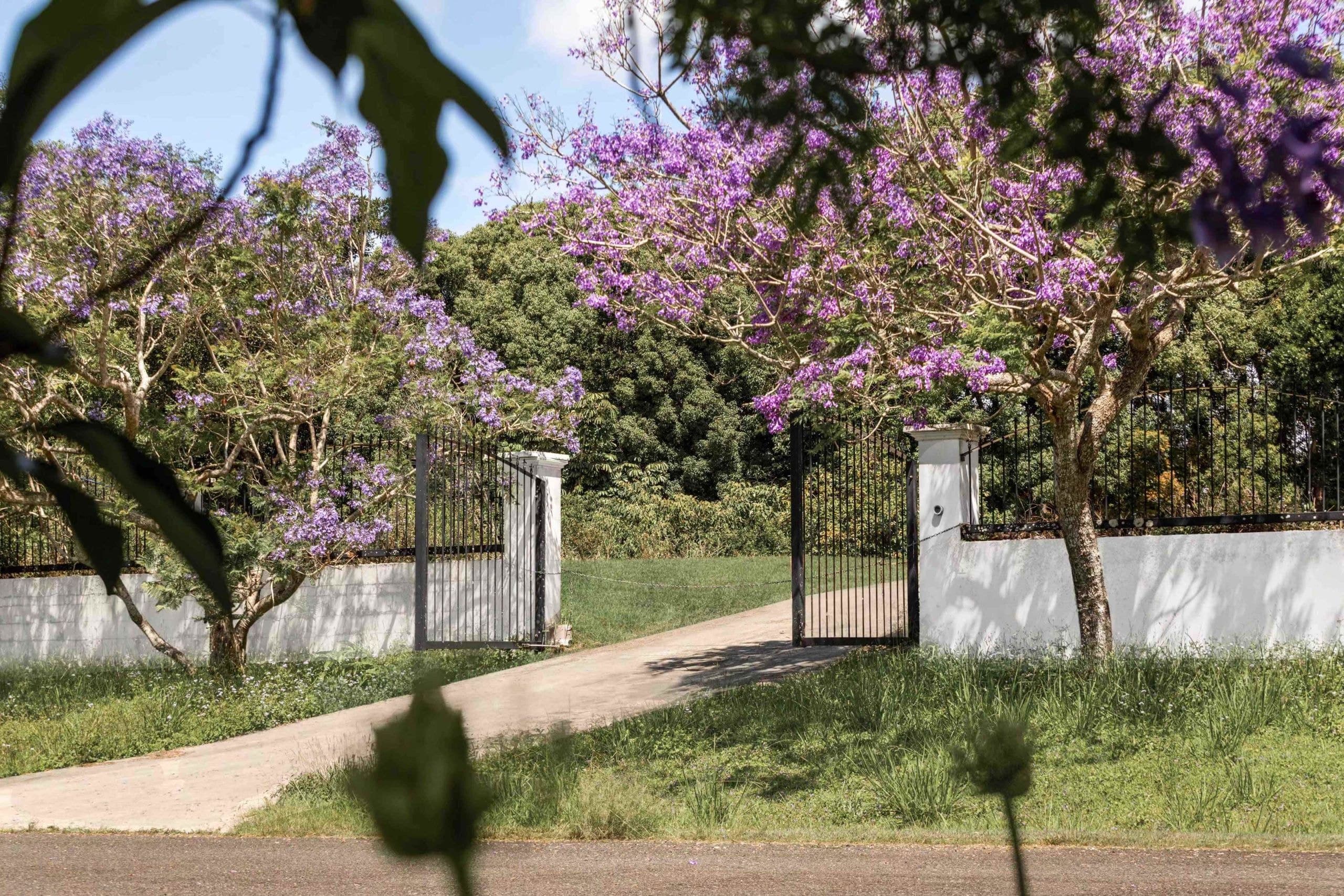 3 Magnolia Place, Ewingsdale NSW 2481, Ewingsdale - Image 1