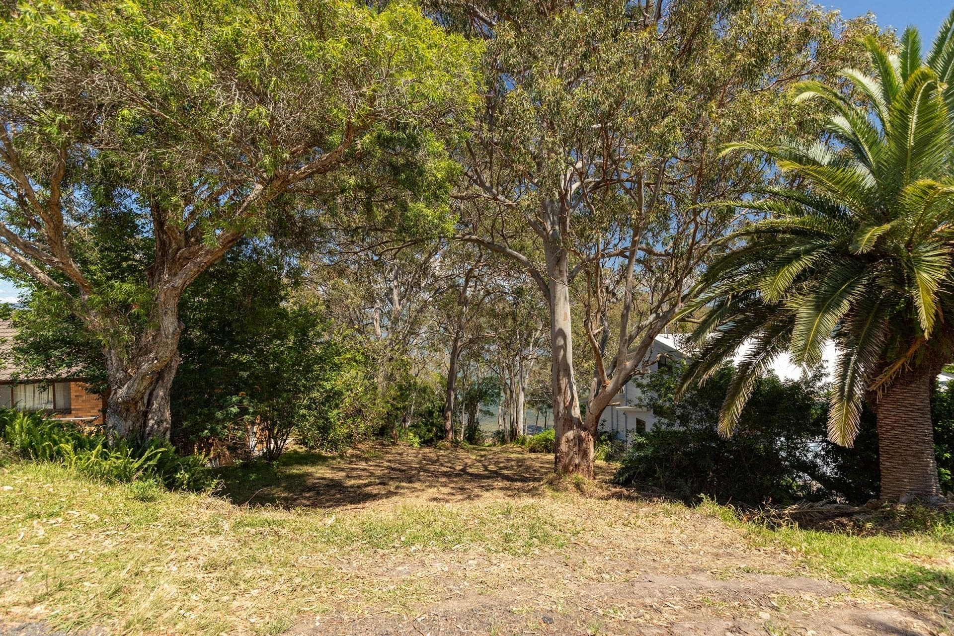 219/39 Green Point Drive, Green Point NSW, Green Point - Thumbnail 3