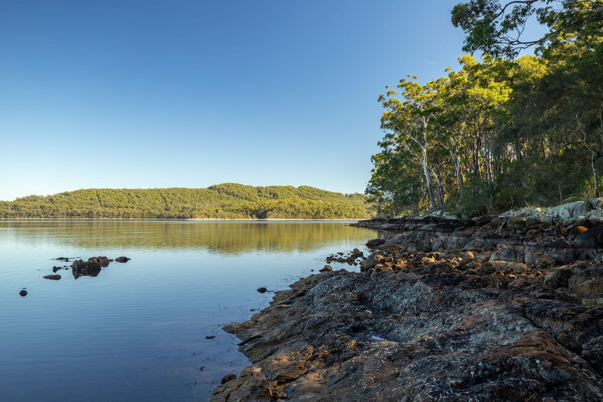 54/127 Amaroo Drive, Smiths Lake NSW, Smiths Lake - Thumbnail 4