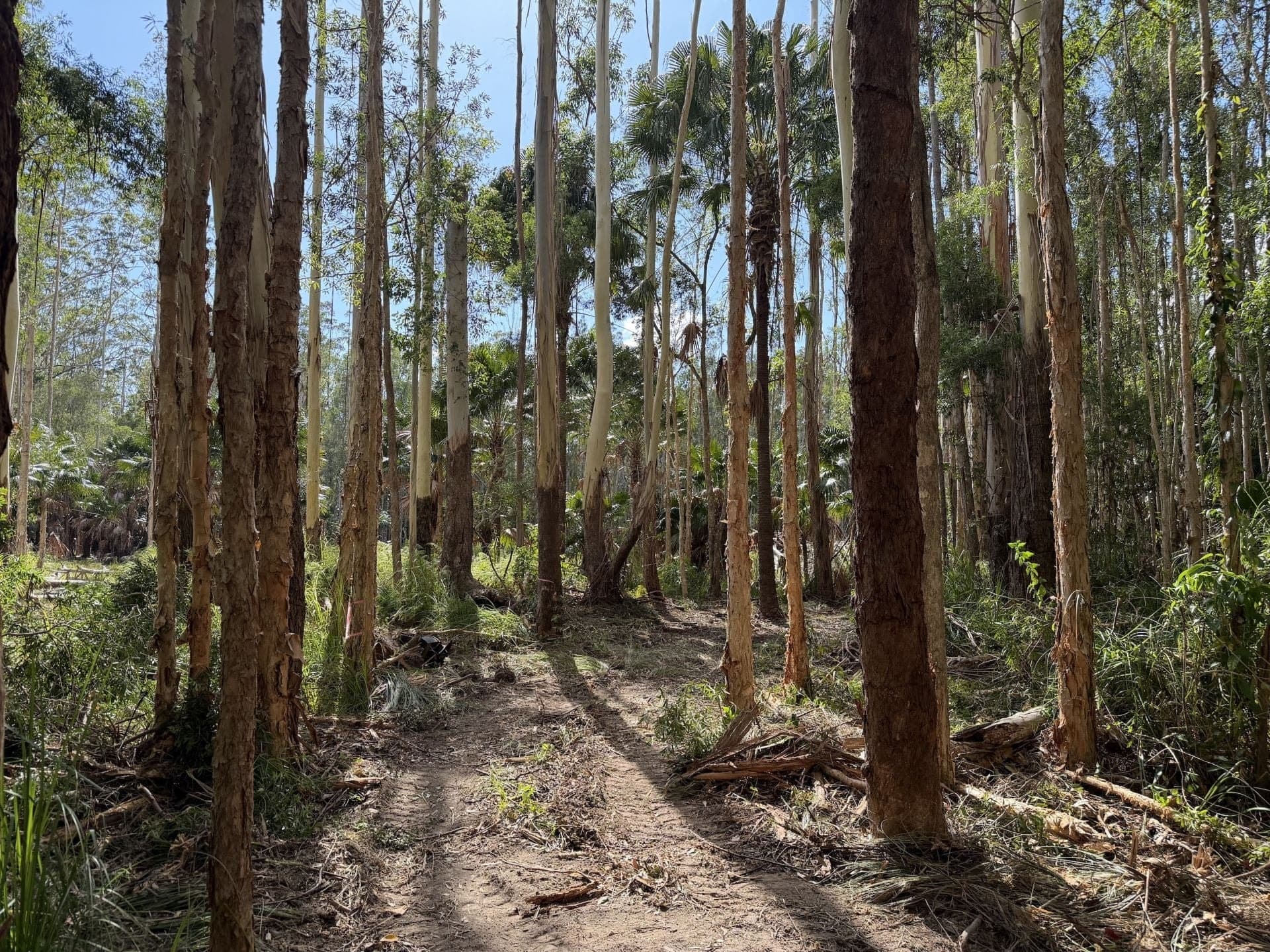 6/750 Coomba Road, Whoota NSW, Whoota - Thumbnail 6