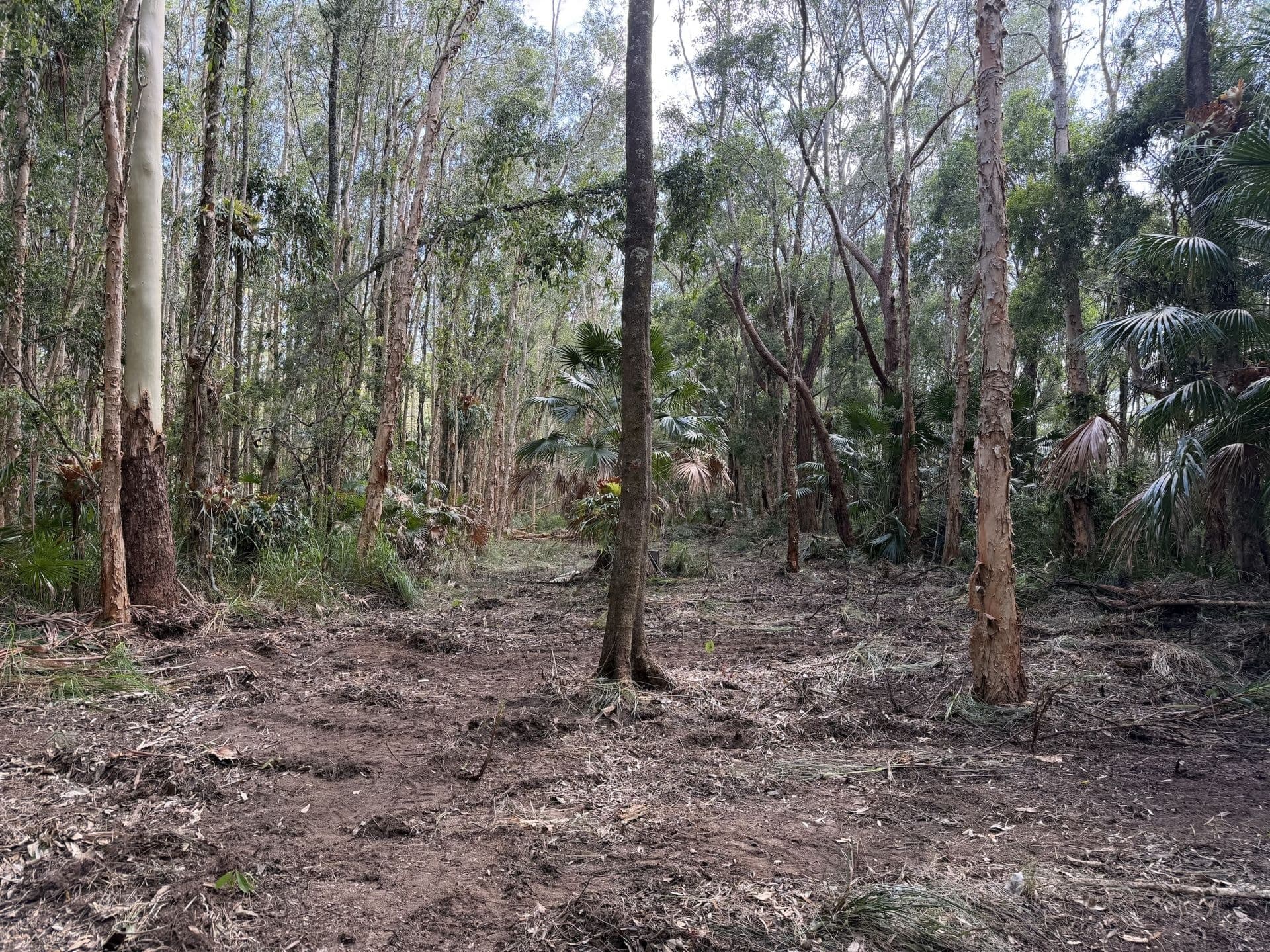 6/750 Coomba Road, Whoota NSW, Whoota - Thumbnail 8